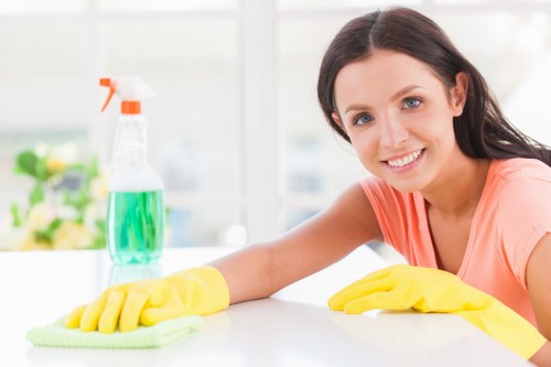 Local Shepherdsbush cleaning service for modern apartments
