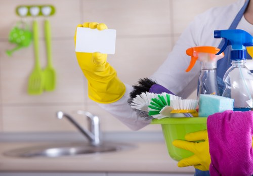 Professional oven cleaning in Shepherdsbush with a sparkling kitchen appliance