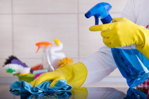 Eco-friendly cleaners in Shepherds Bush providing a fresh property