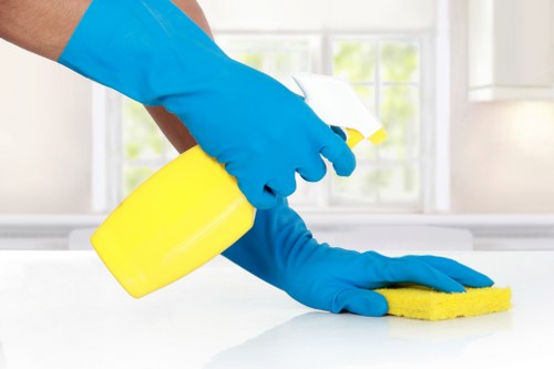 Professional upholstery cleaning in Shepherdsbush for a fresh living room sofa