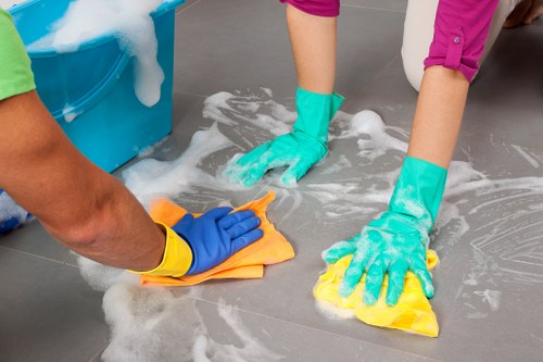 Carpet stain removal and steam cleaning in a Shepherdsbush property