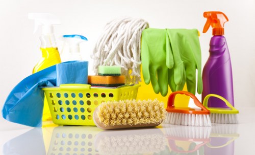 Domestic cleaning services in Shepherds Bush for modern apartments