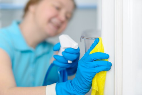 Deep cleaning a sofa to remove dust and allergens in Shepherdsbush