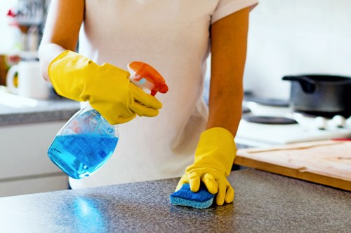 Different hard floor types commonly cleaned in Shepherdsbush properties