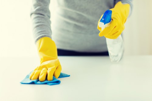 Carpet and upholstery cleaning for soft furnishings