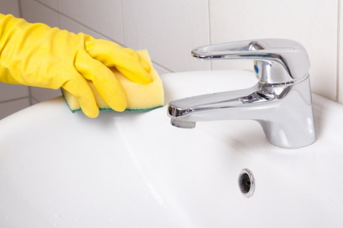 Deep cleaning checklist for Shepherdsbush rental property