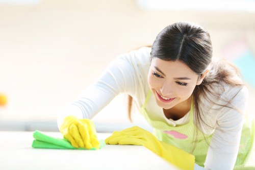 Kitchen cleaning during house cleaning in Shepherdsbush