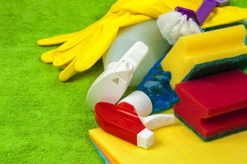 Bright residential windows cleaned in Shepherdsbush