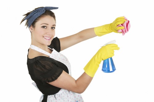 Deep cleaning bathroom in a Shepherdsbush home