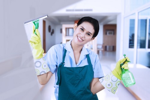 Professional cleaning supplies and a tidy room symbolizing Shepherdsbush Cleaners