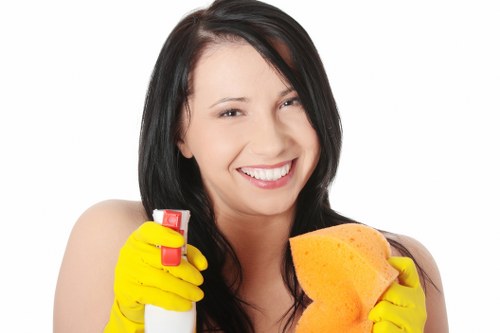 Professional exterior wall cleaning for a property in Shepherdsbush