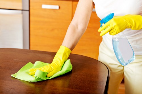 Stain treatment process for delicate fabrics by Shepherdsbush cleaners