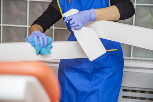 Local Shepherdsbush oven cleaner restoring a dirty oven to a fresh condition